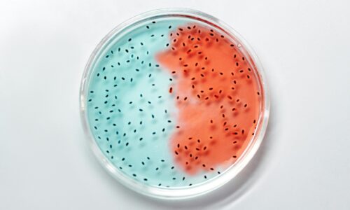 Legionella Awareness